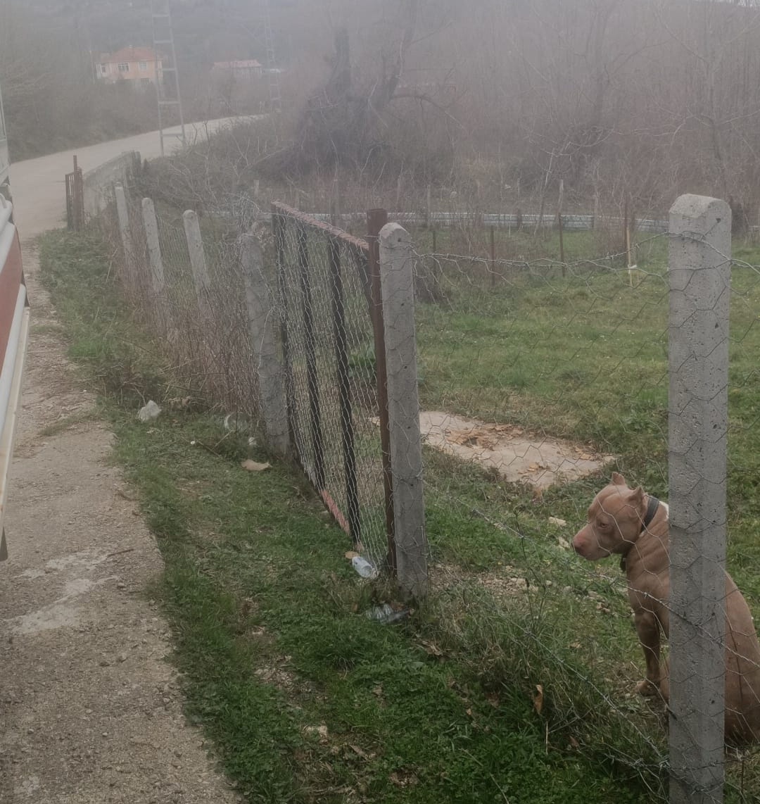 I M G 20260213 W A0000