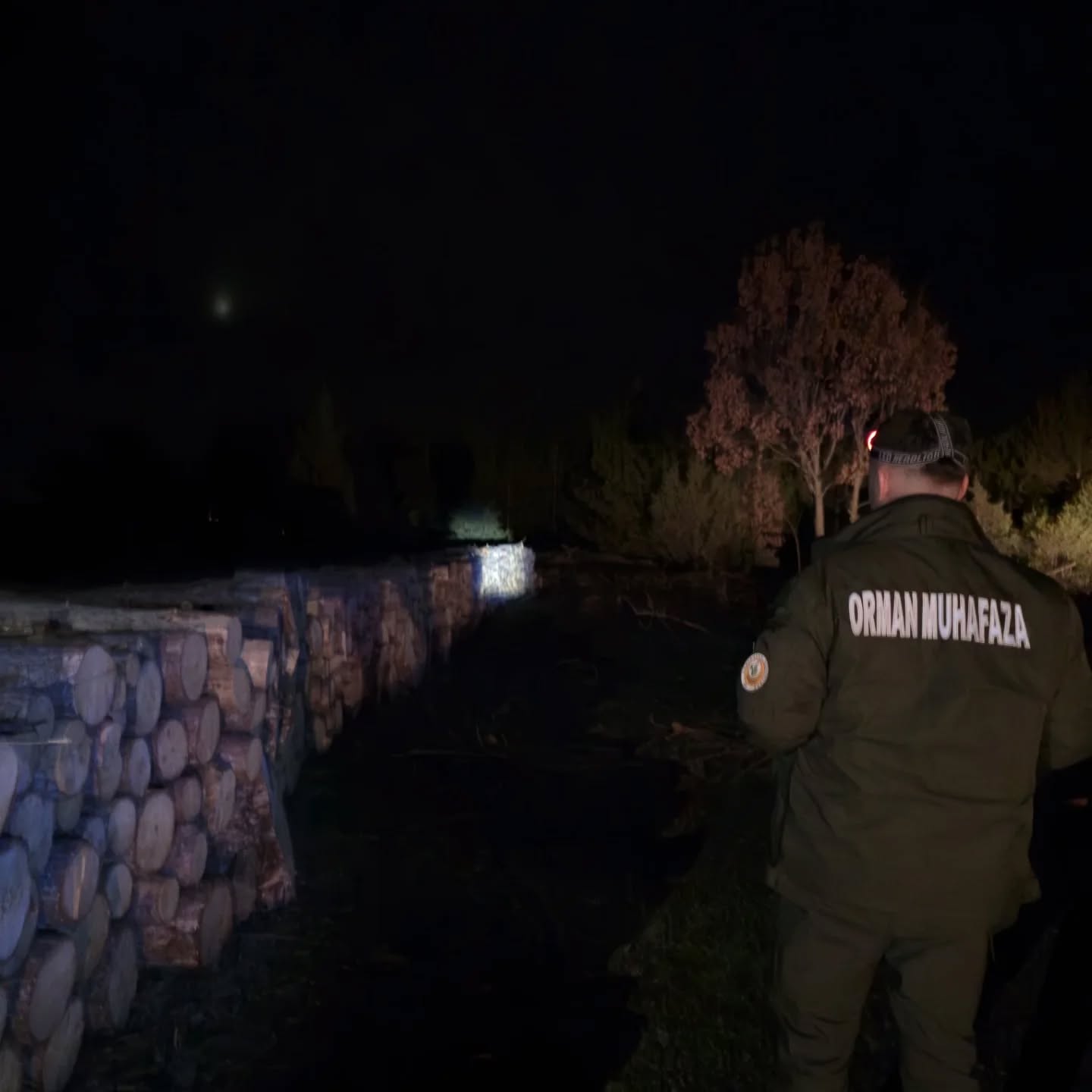 Kastamonu Ormanlarında Usulsuzluge Rastlanmadı (1)