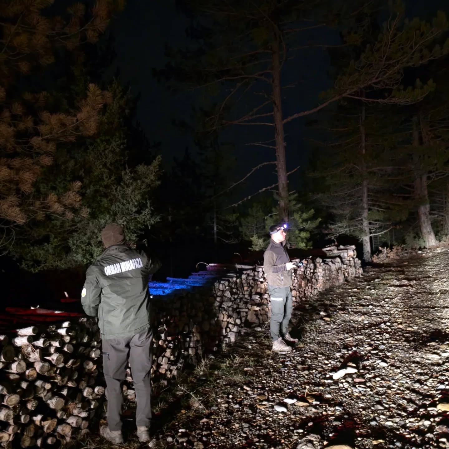 Kastamonu Ormanlarında Usulsuzluge Rastlanmadı (2)