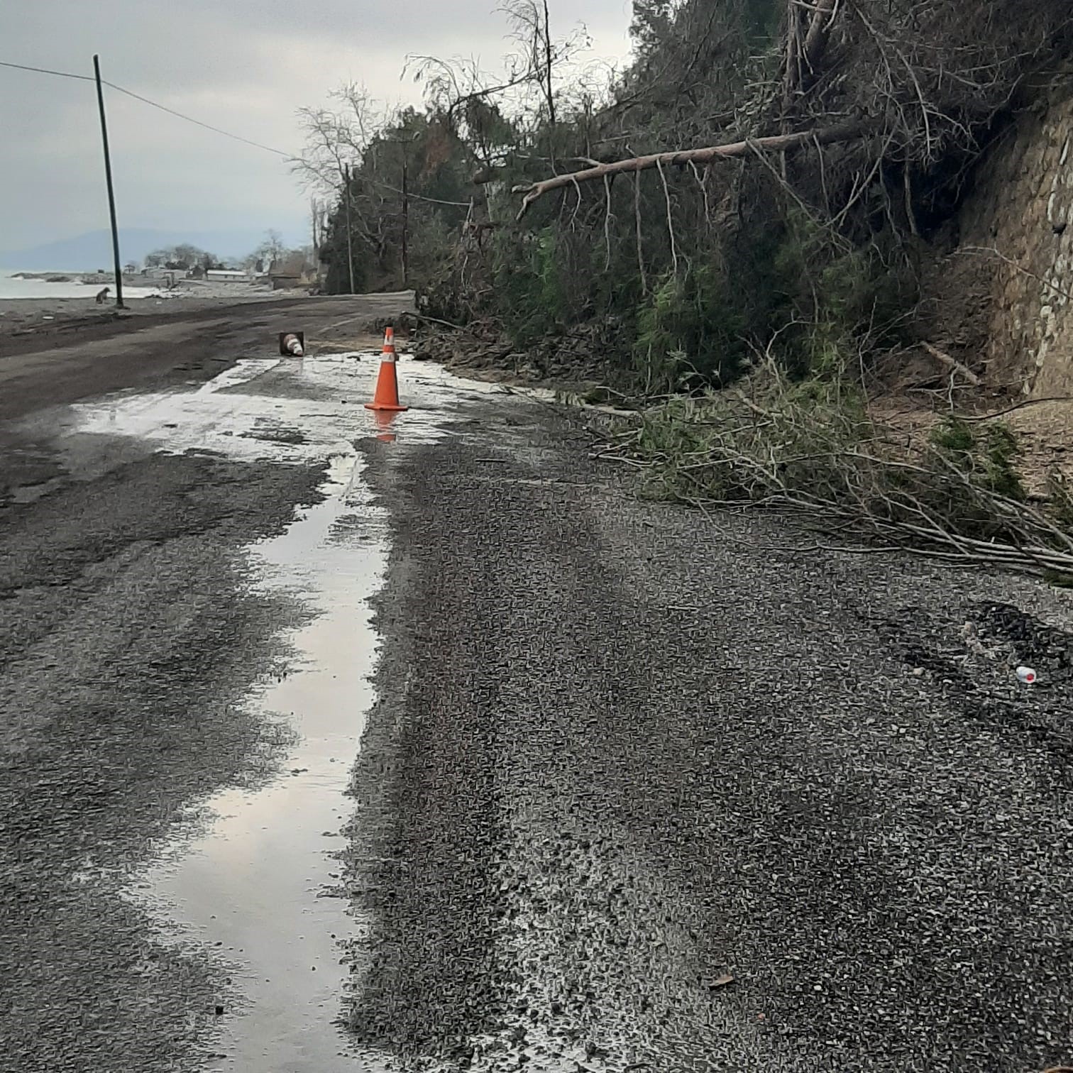 Kastamonu’da Heyelanda Istinat Duvarını Aşan Ağaçlar Yola Kadar Geldi (1)