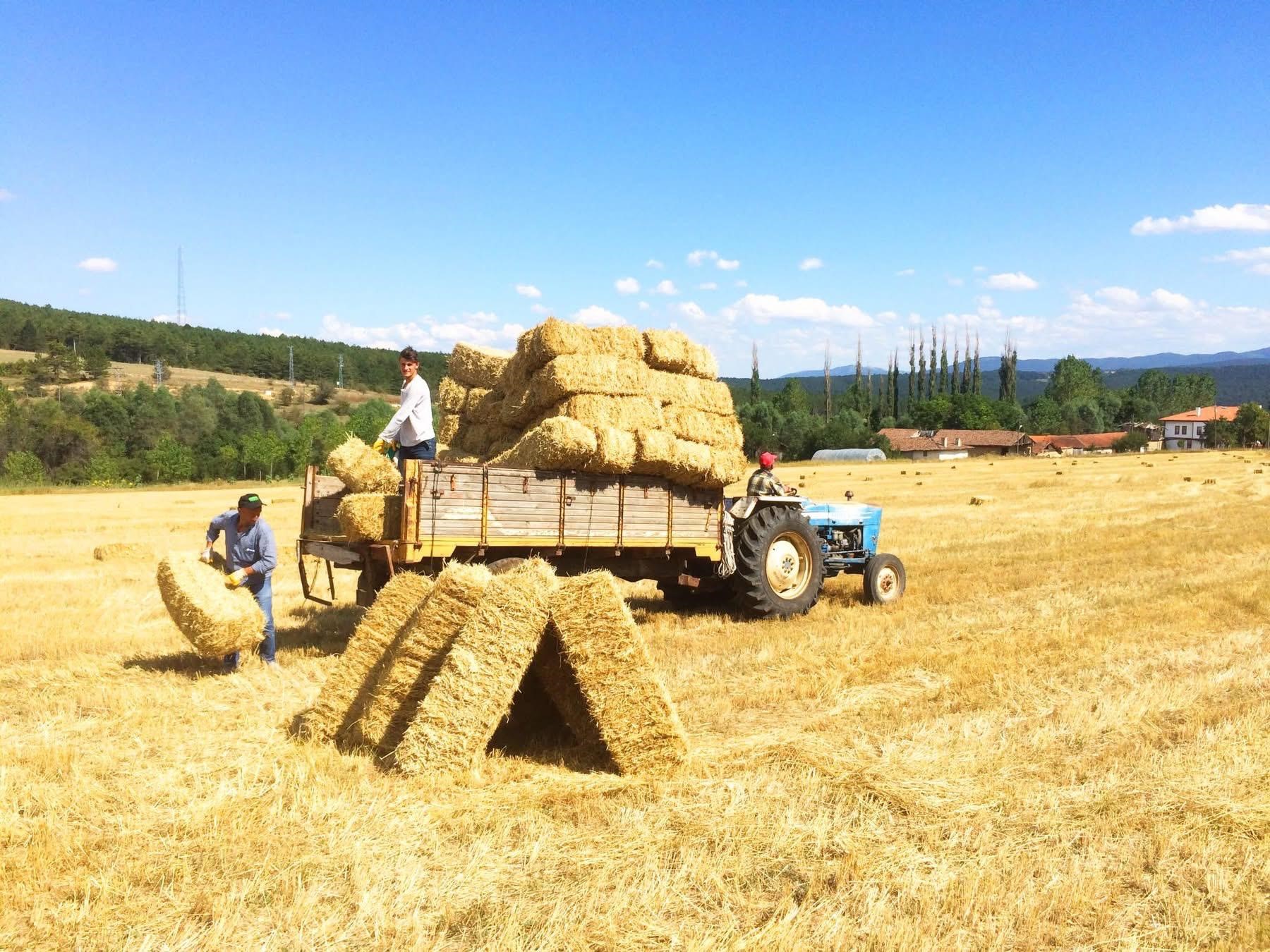Mustafa Afacan 16 Şubat Köşe Yazısı (4)