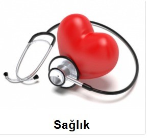 Mustafa Afacan 19 Şubat Köşe Yazısı (3)