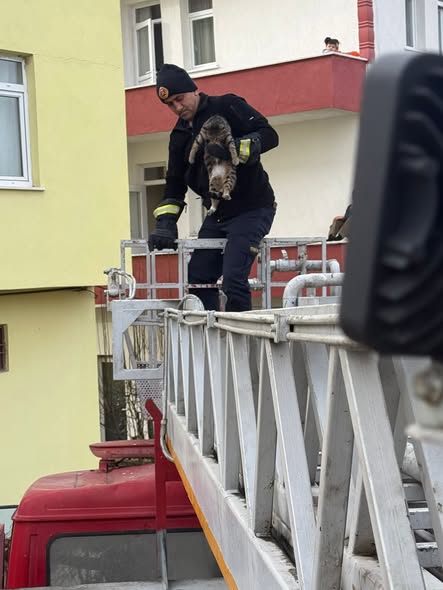 Üç Katlı Binanın Çatısında Zorlu Operasyon! (1)