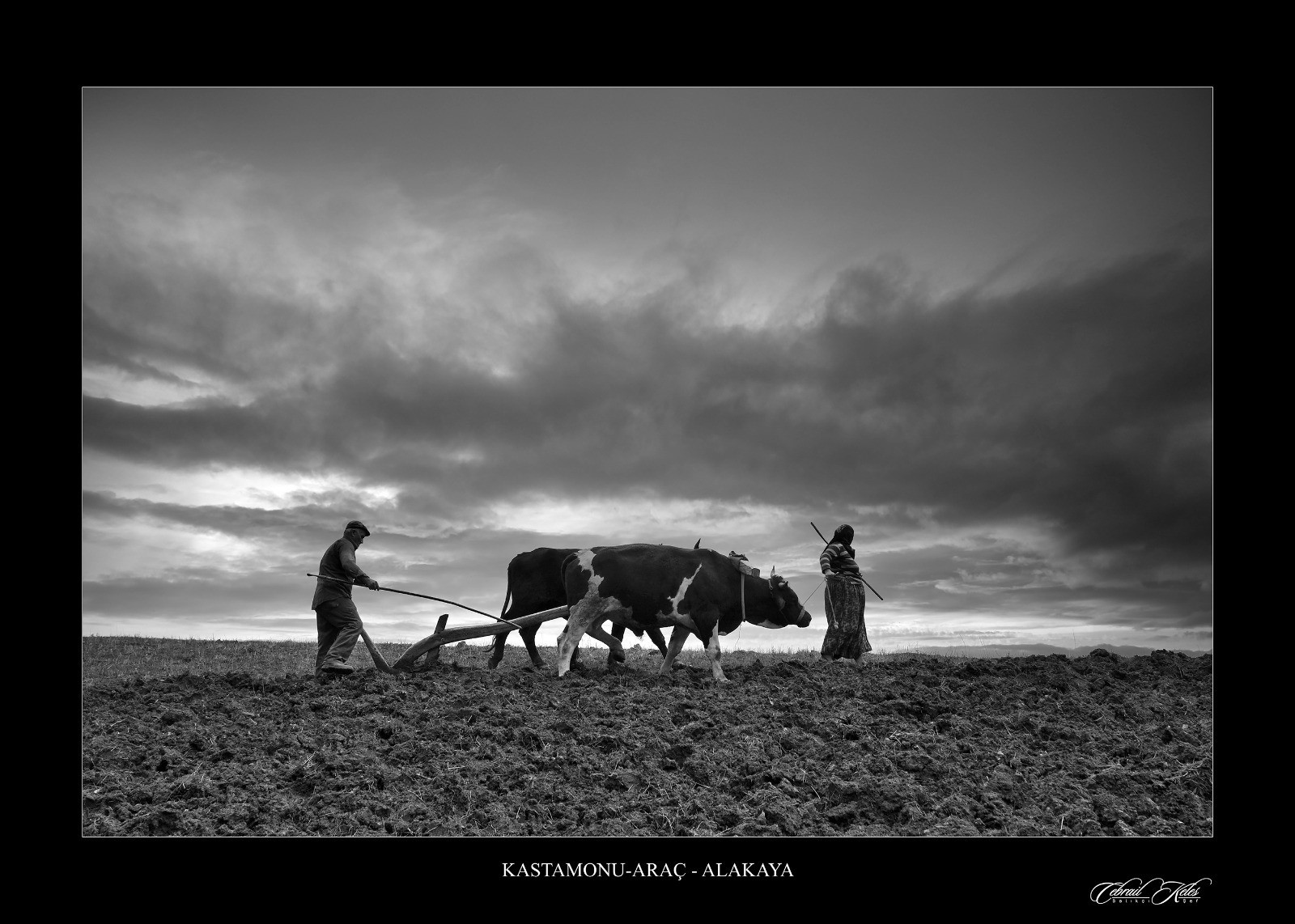 Uçurtma Tepesi Sarıkaya (1)
