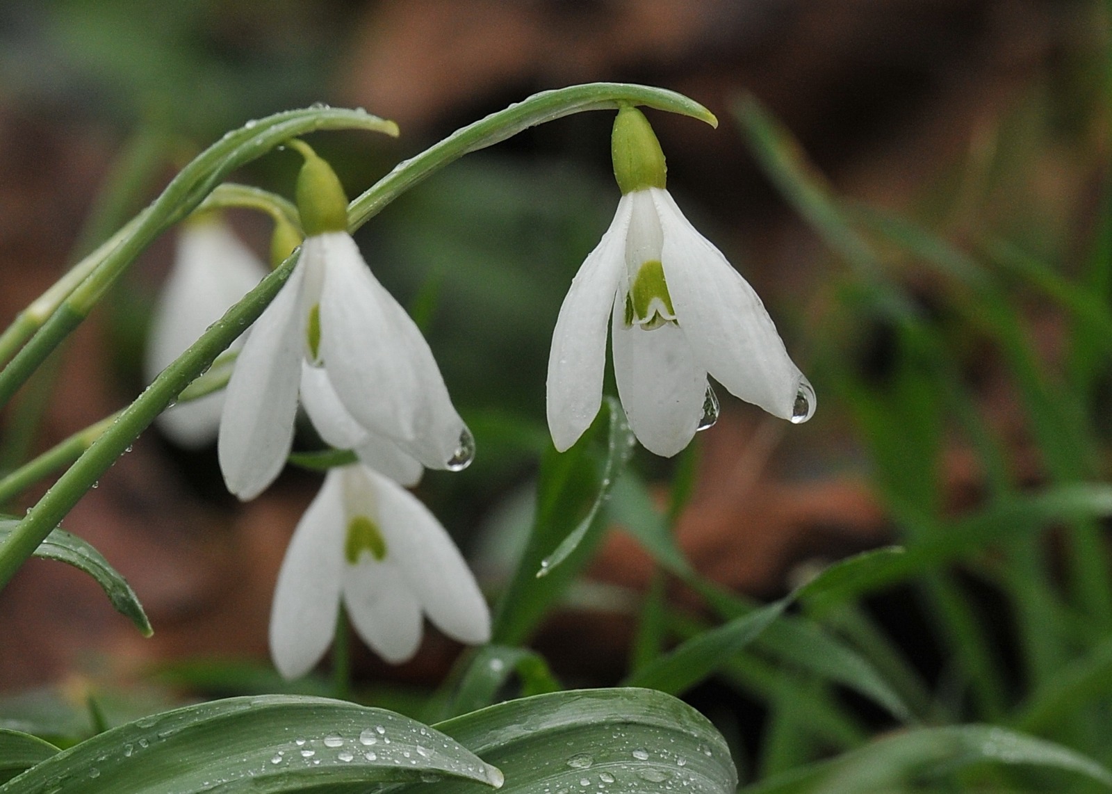 Whatsapp Image 2026 02 13 At 14.08.04