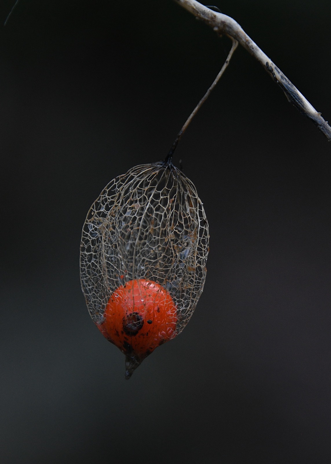 Whatsapp Image 2026 02 13 At 14.08.09 (6)