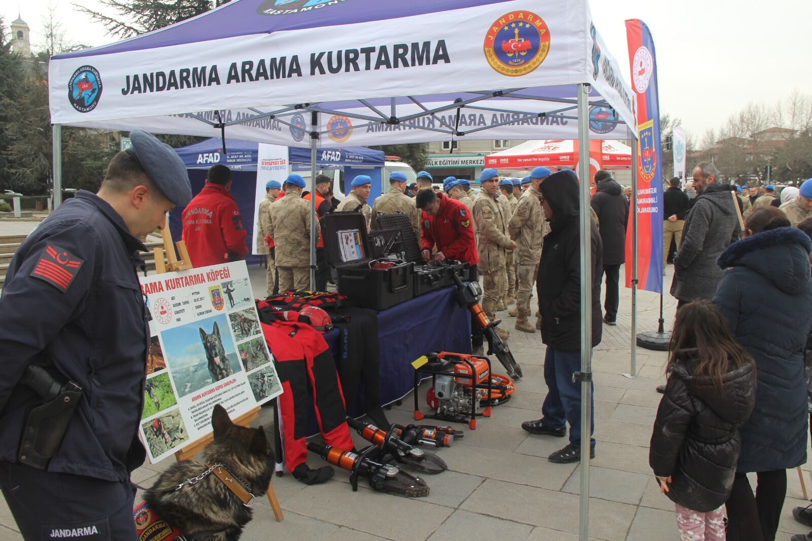 3D294655 5Fae 43E3 8C4C 1531Ec779Cce