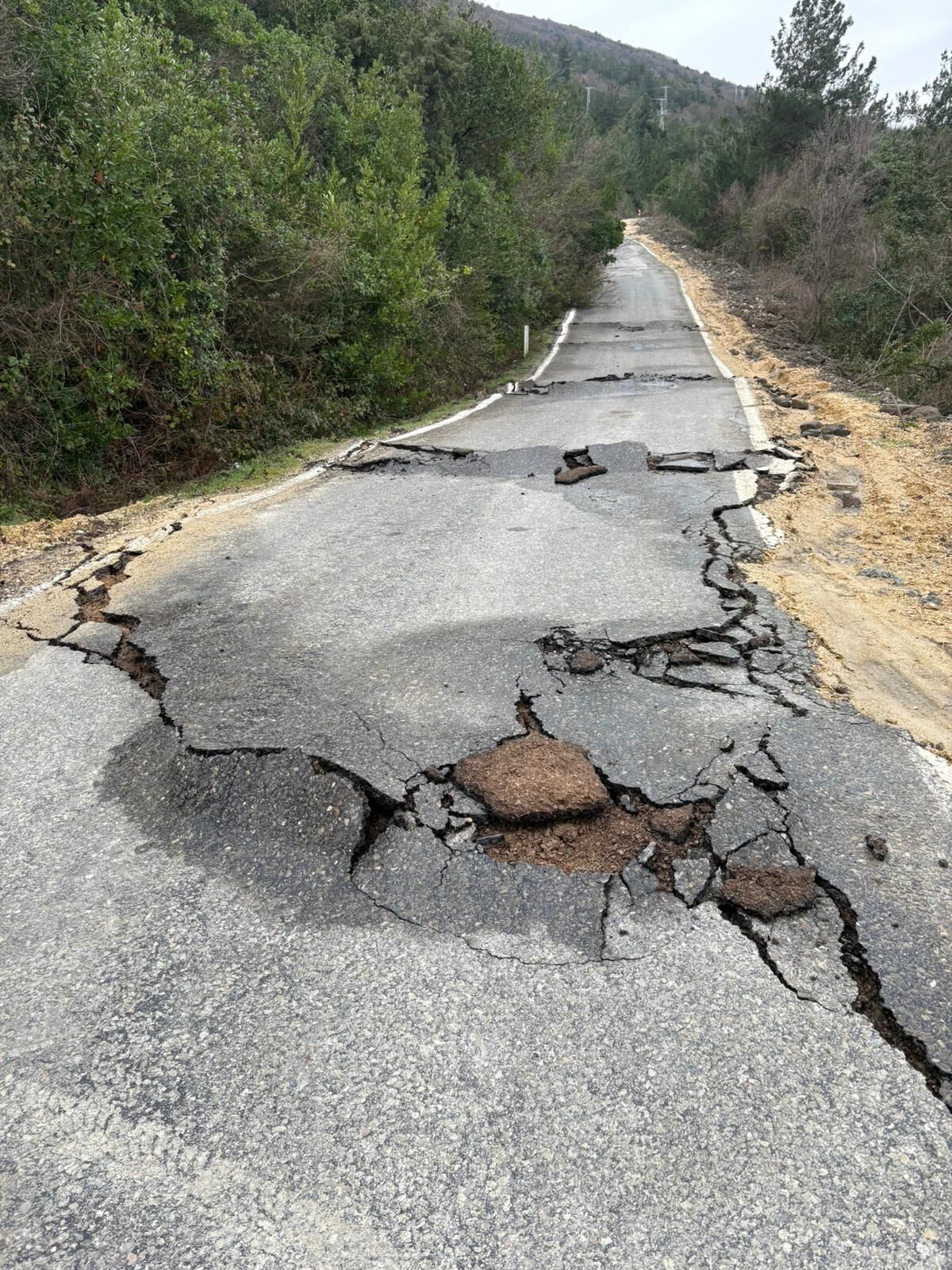 648203138 26115816718059475 1801825174310391835 N