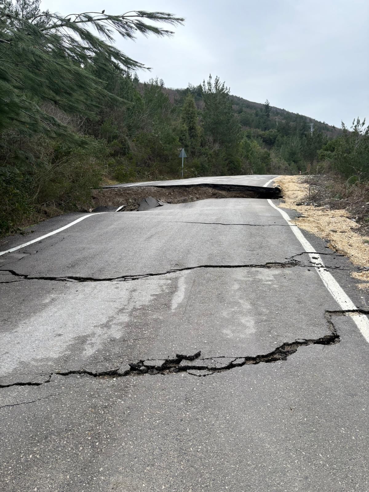 648378702 26115816141392866 6511558710024242569 N