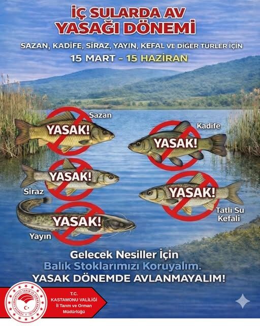 650739695 18173866888385181 8433171992108413605 N