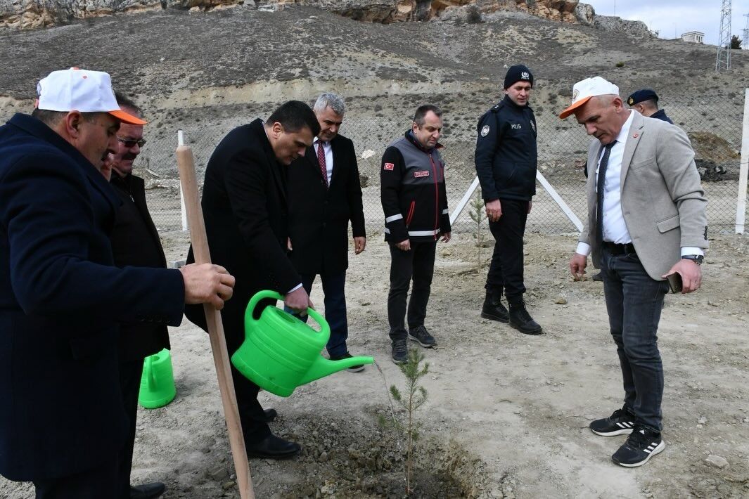 7Cc92Cf6 D2F2 44B7 Aca4 15F65E78Ed43