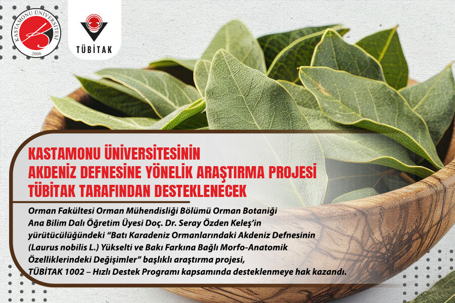 Akdeniz Defnesinin Batı Karadeniz Popülasyonları Incelenecek-1