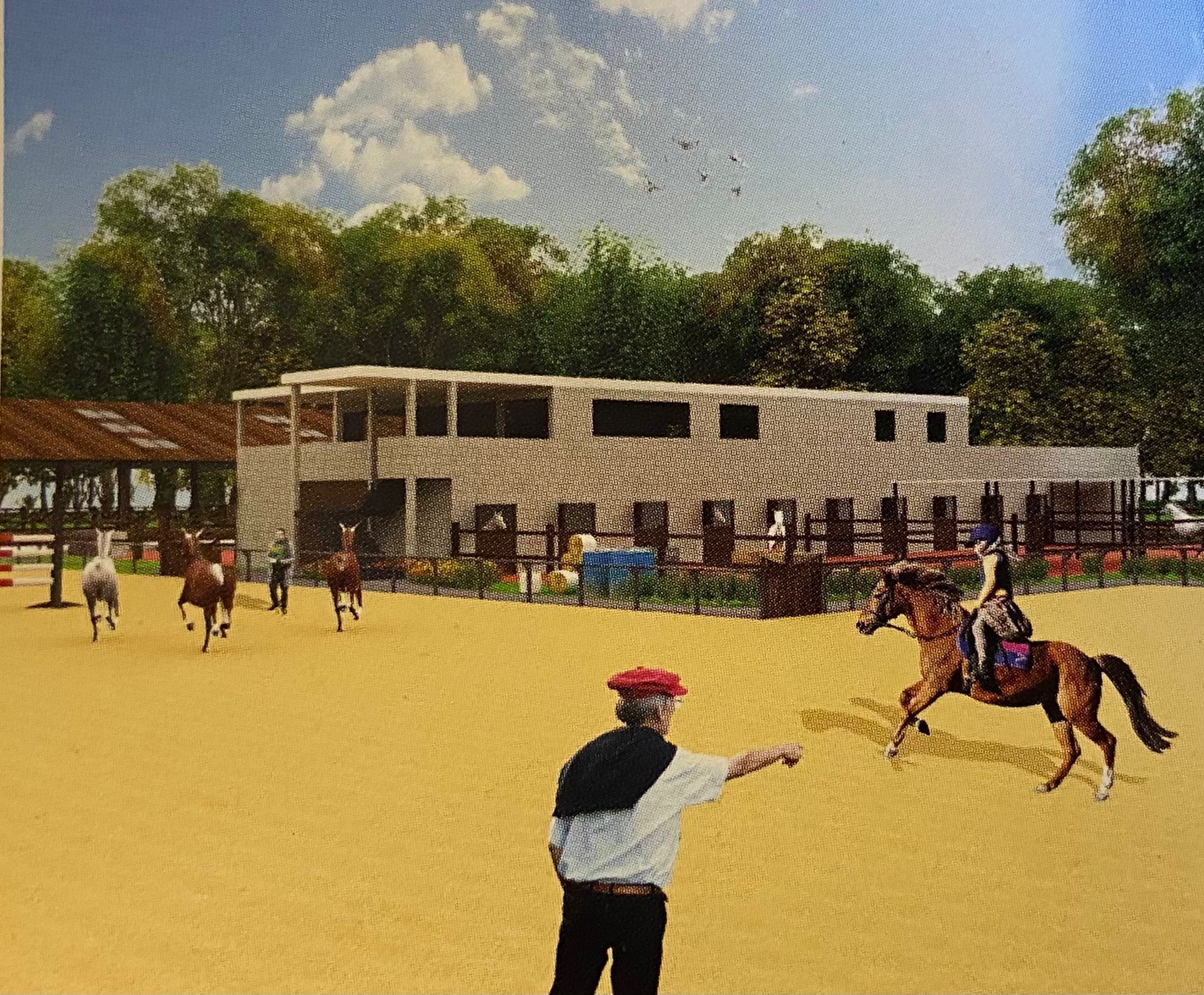 At Avrat Sarımsak (2)