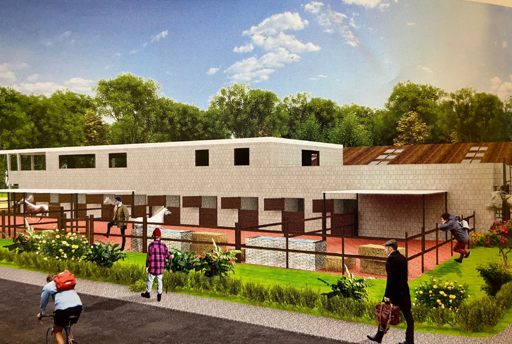 At Avrat Sarımsak (3)