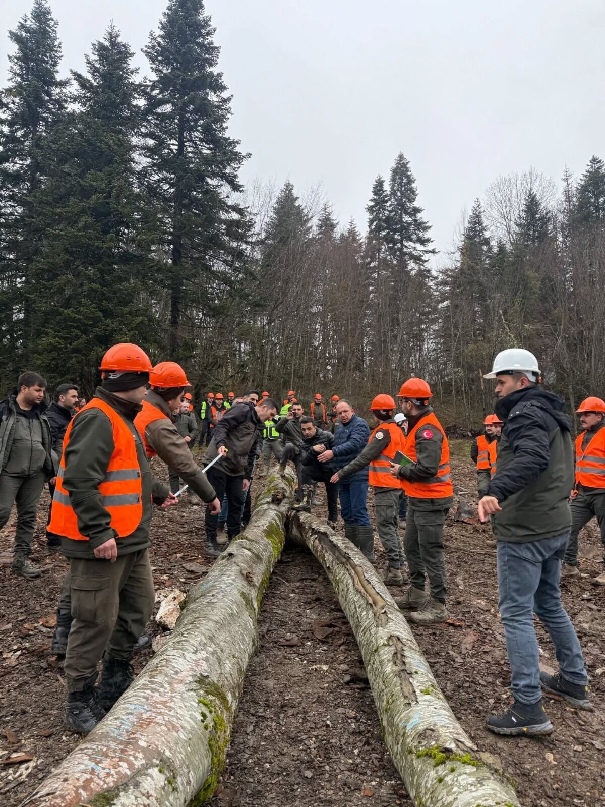 Cide Orman Menval Egitimi (2)