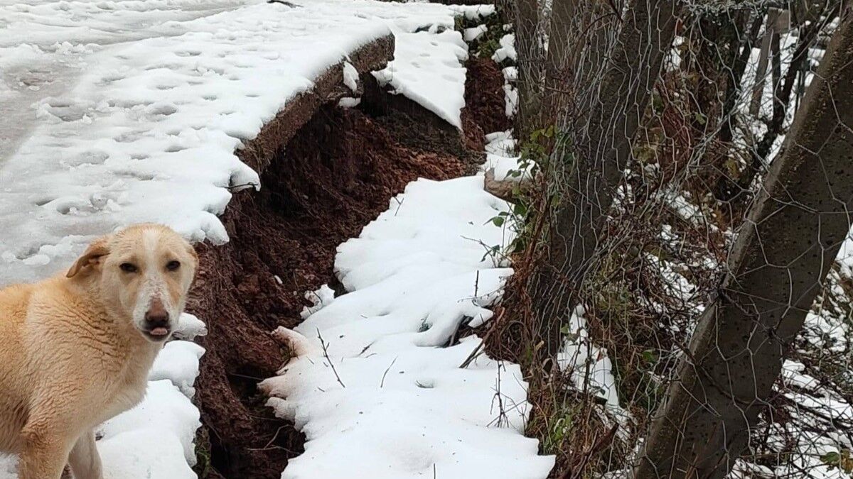 Cide'nin Afet Bölgesi Ilan Edilmesini Istedi (4)
