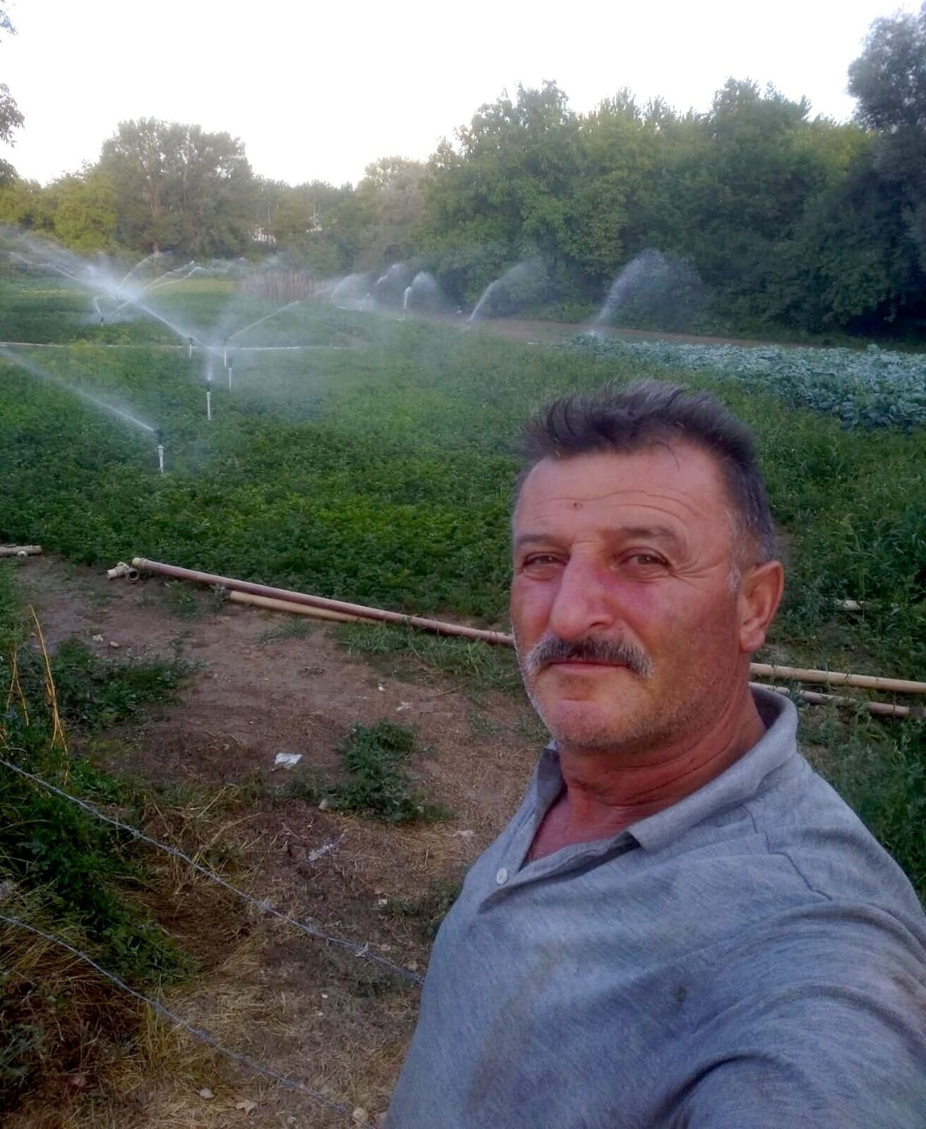 Fidan Satılarında Patlama (1)