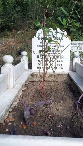 I M G 20260319 W A0001