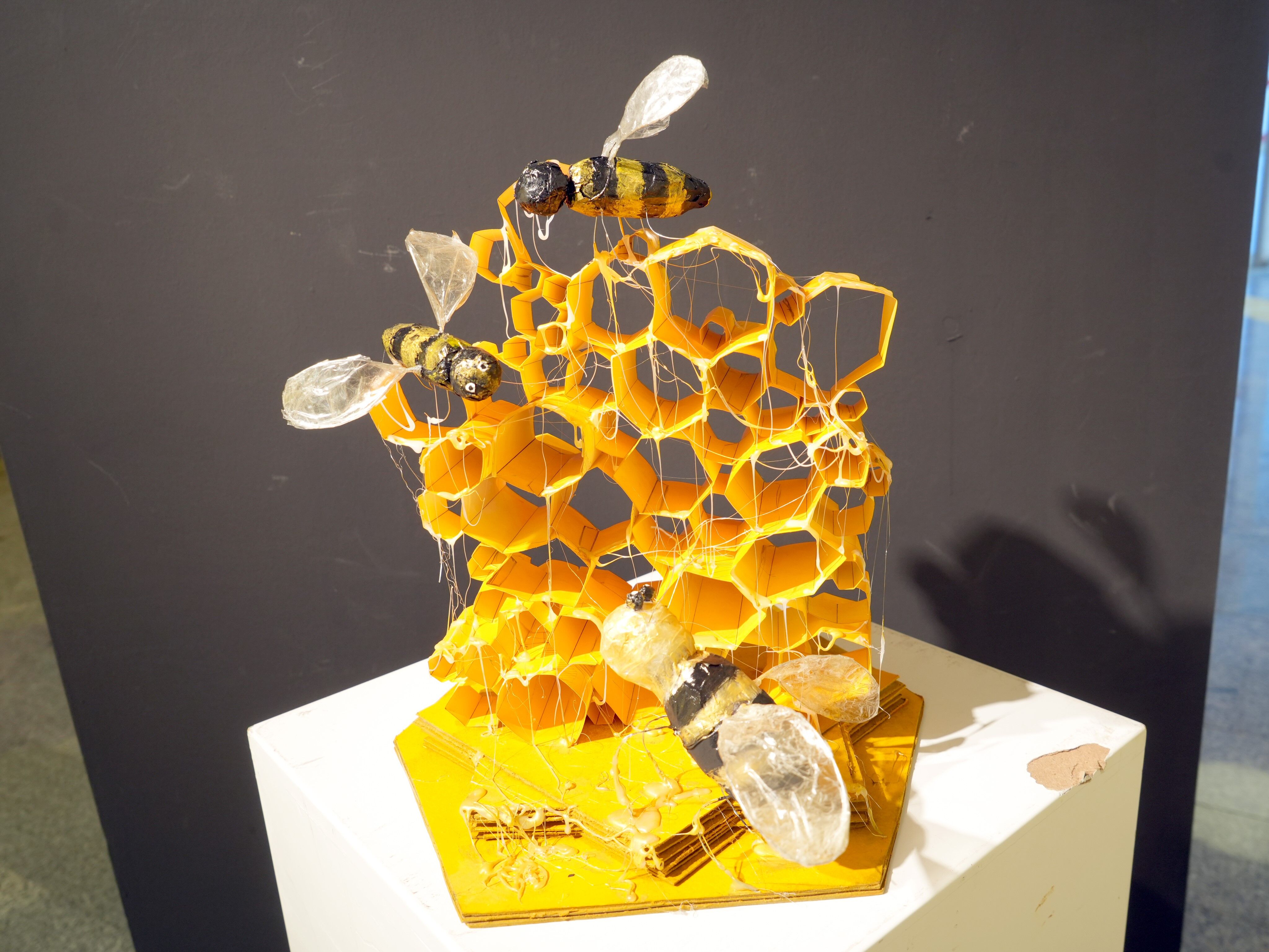 Kastamonu'da Atıklar Sanata Donustu (1)