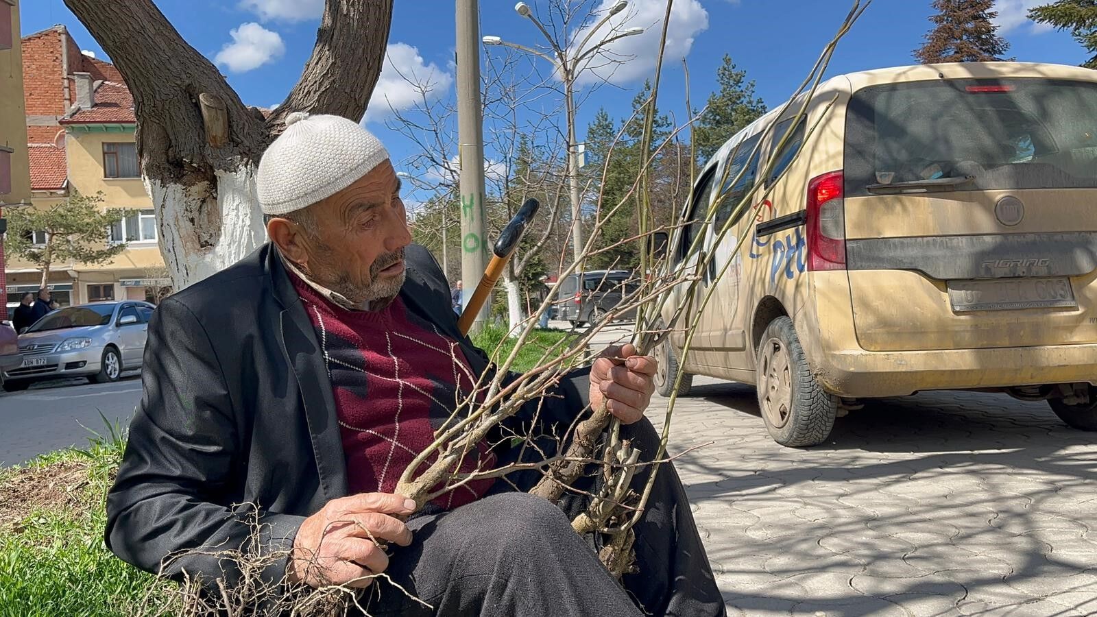Kastamonu’da Fidan Izdihamı Yaşandı (2)