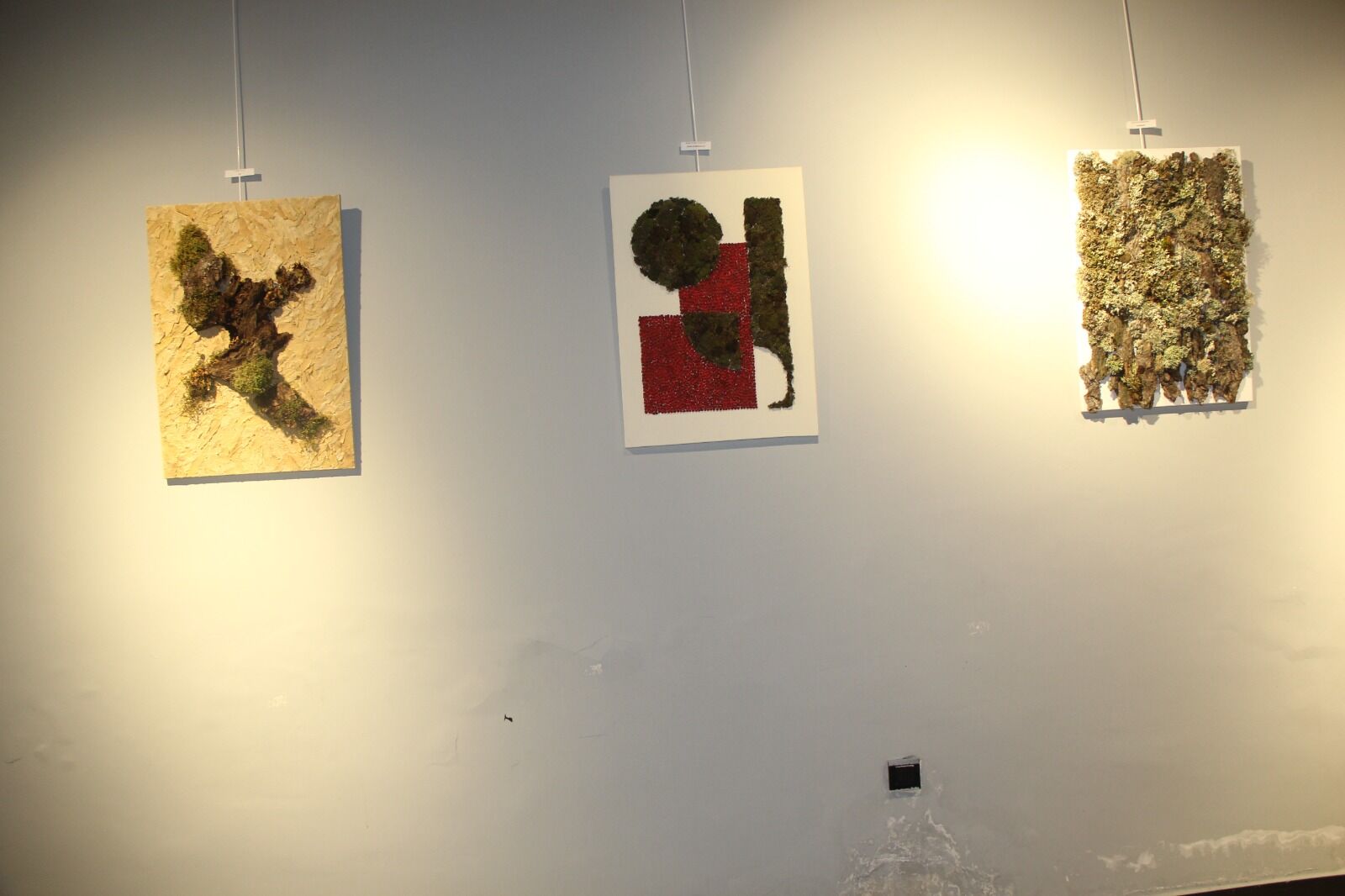 Kastamonu’da Genç Sanatçılar Doğayı Tuvale Taşıdı (5)