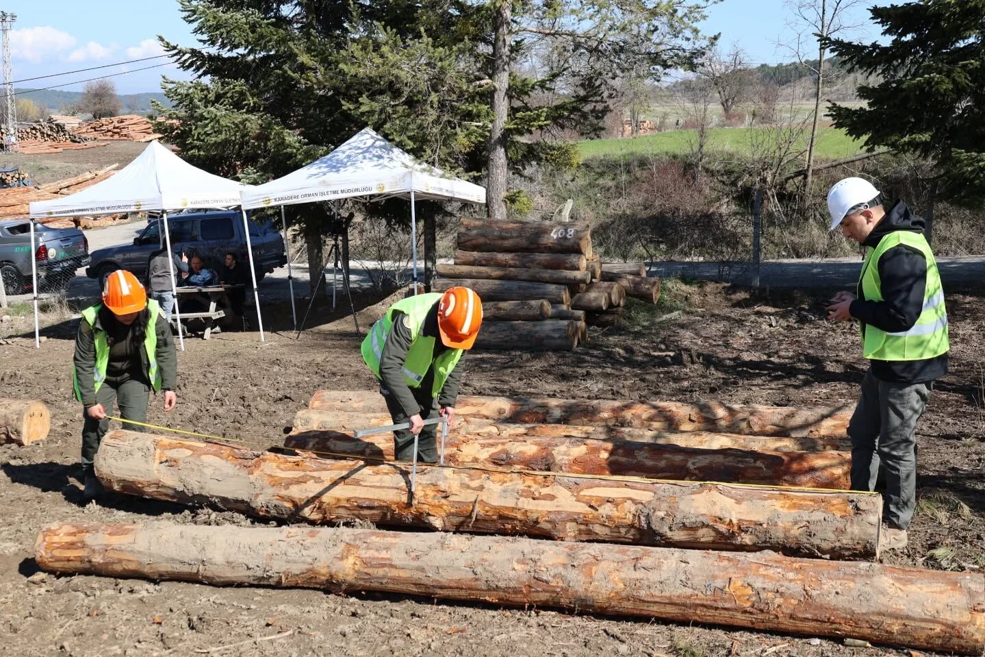 Kastamonu’da Ormancılar Kıyasıya Yarışıyor (3)