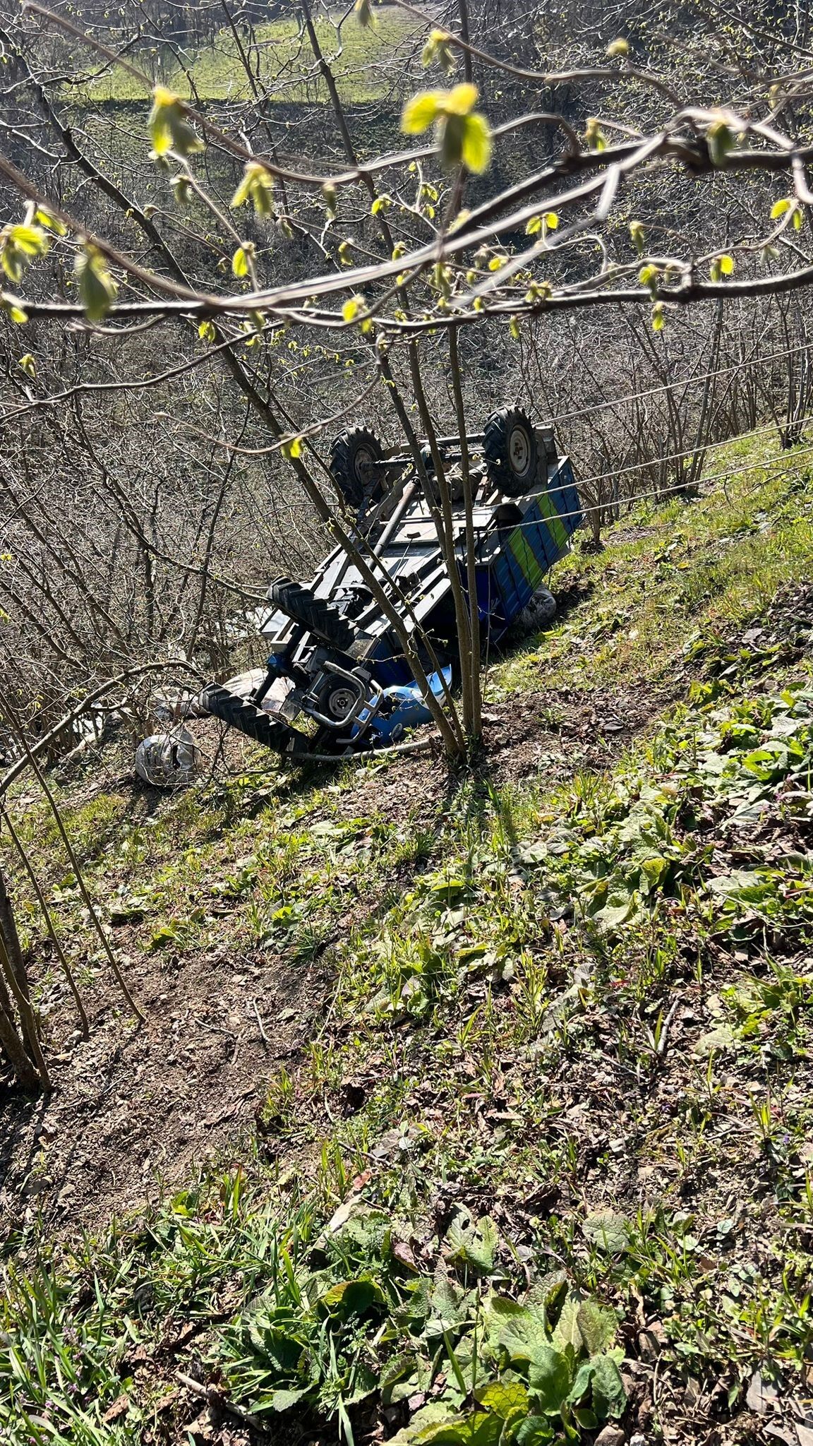 Köpekler Yola Çıktı, Patpat Şarampole Devrildi! (3)