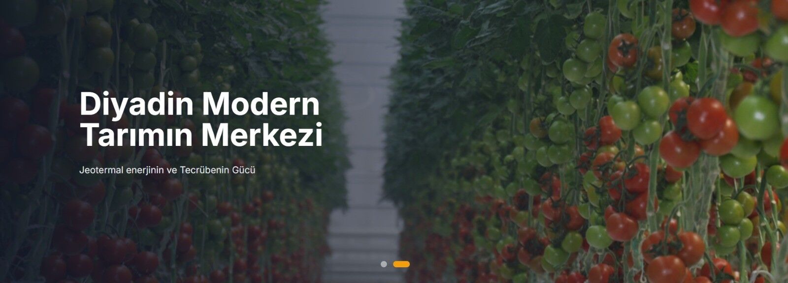 Mustafa Afacan Köşe (2)-85