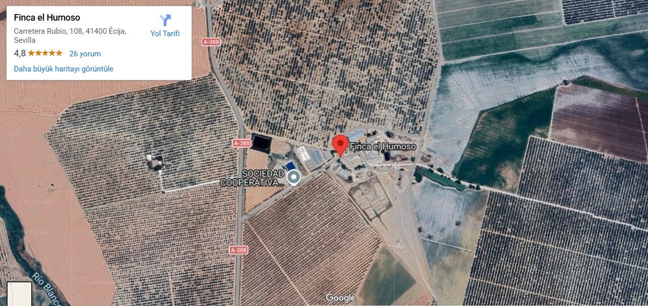 Mustafa Afacan Köşe (3)-50