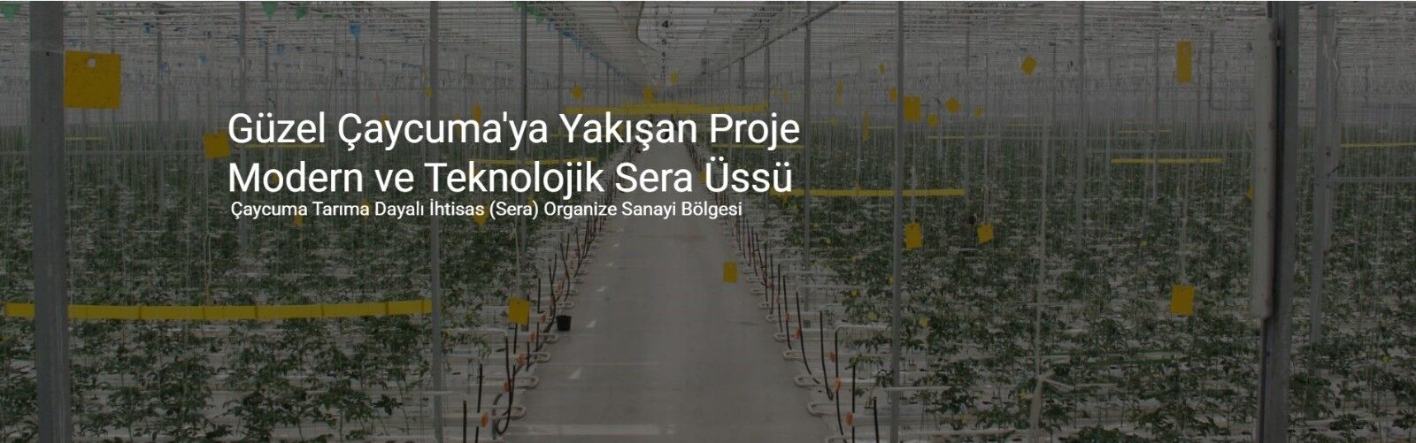 Mustafa Afacan Köşe (3)-53