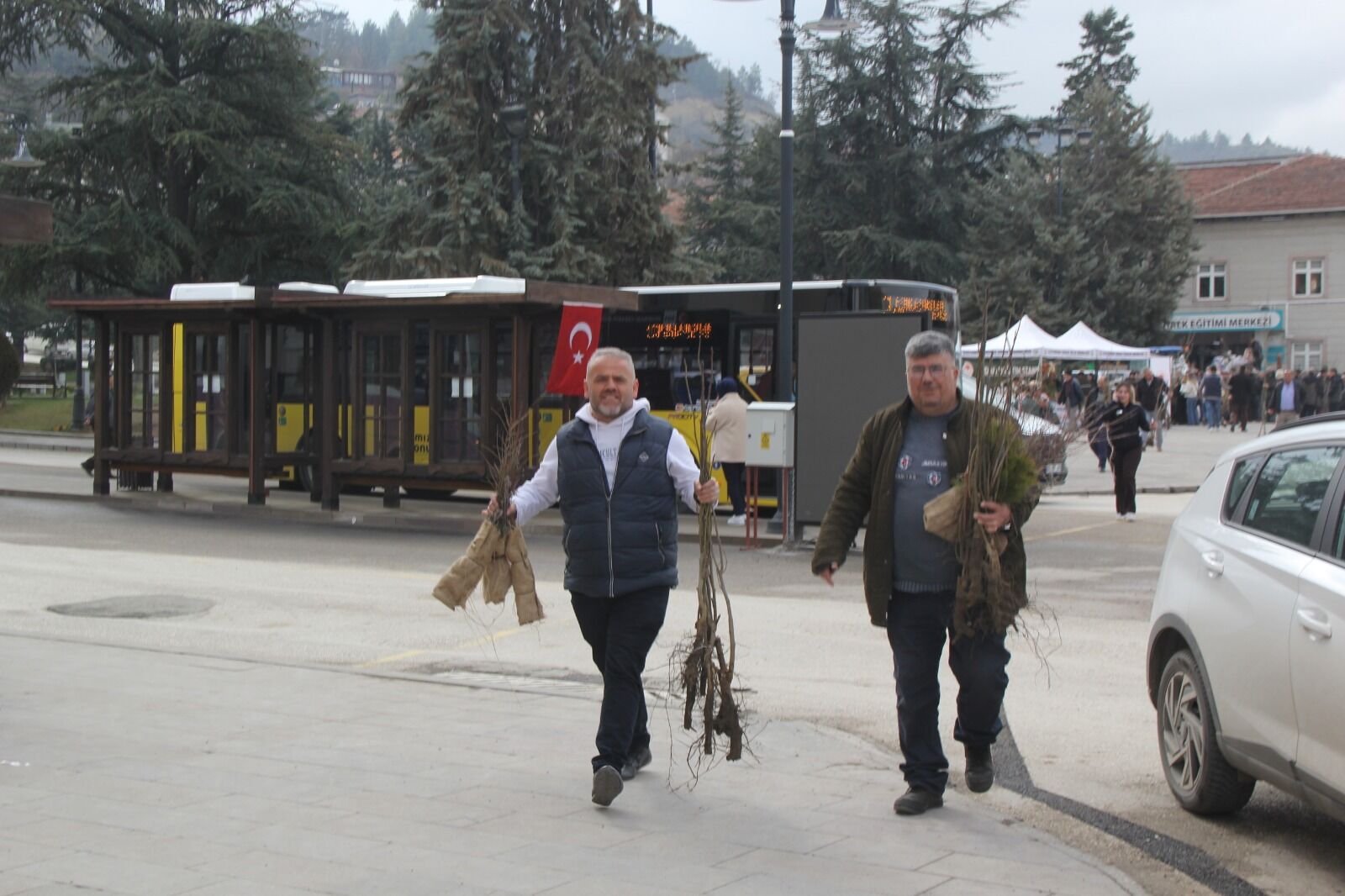 Ucretsiz Fidan Dagıtımı (1)