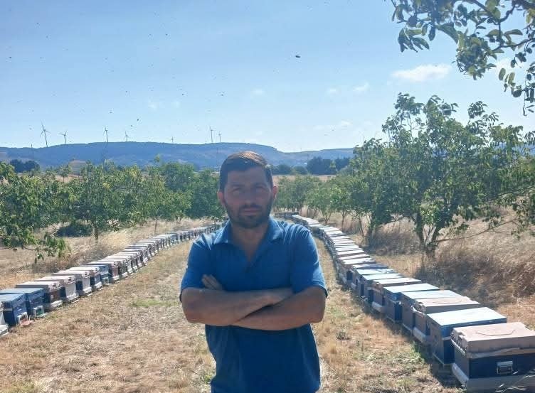 Ayılar Arı Kovanlarını Parcaladı (1)