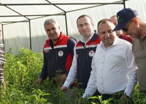 Bitkisel Üretimde Kastamonu’ya 290 Milyon Tl Destek Kopya