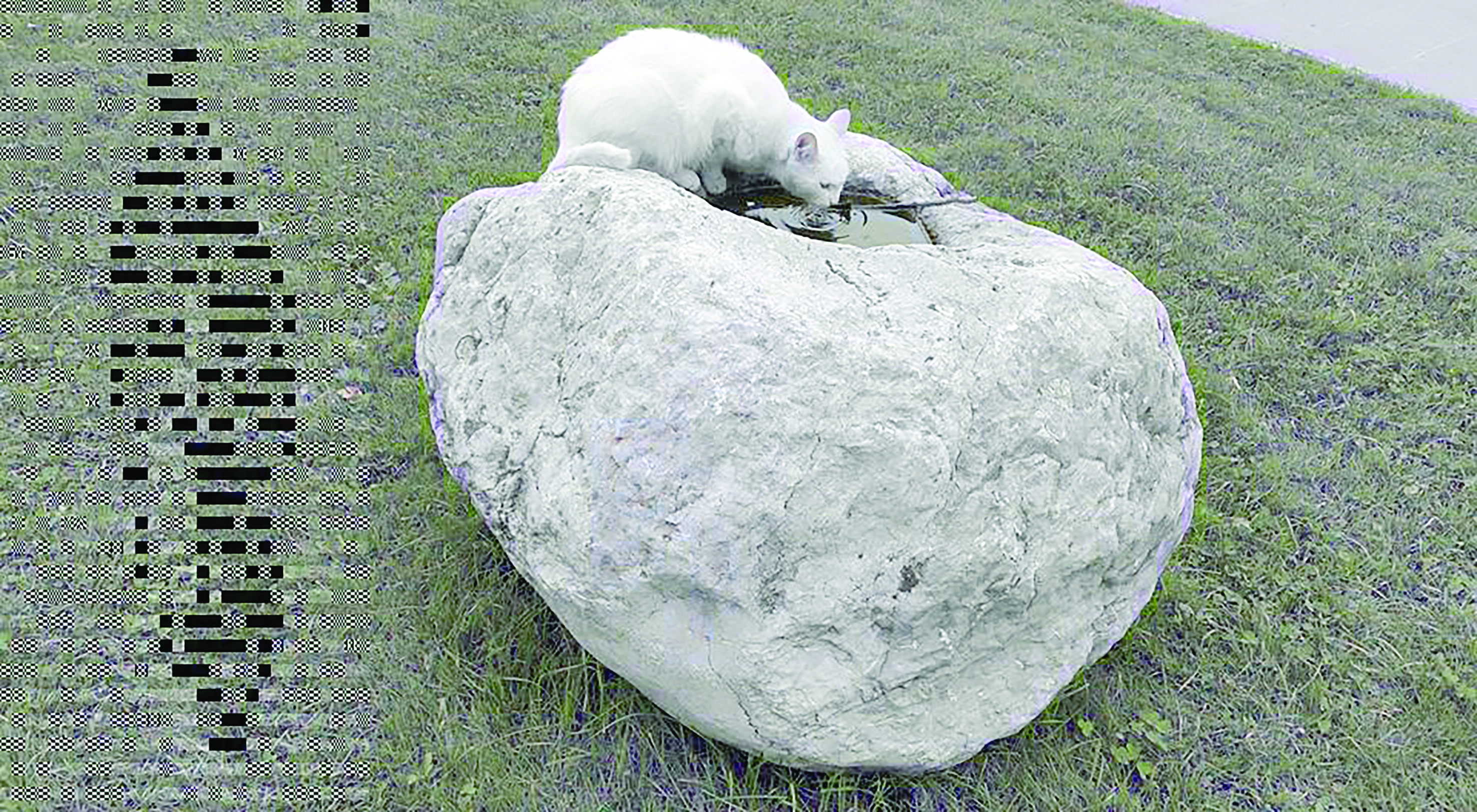 Cebrai̇l Keleş Köşe (3).Jpg (1)