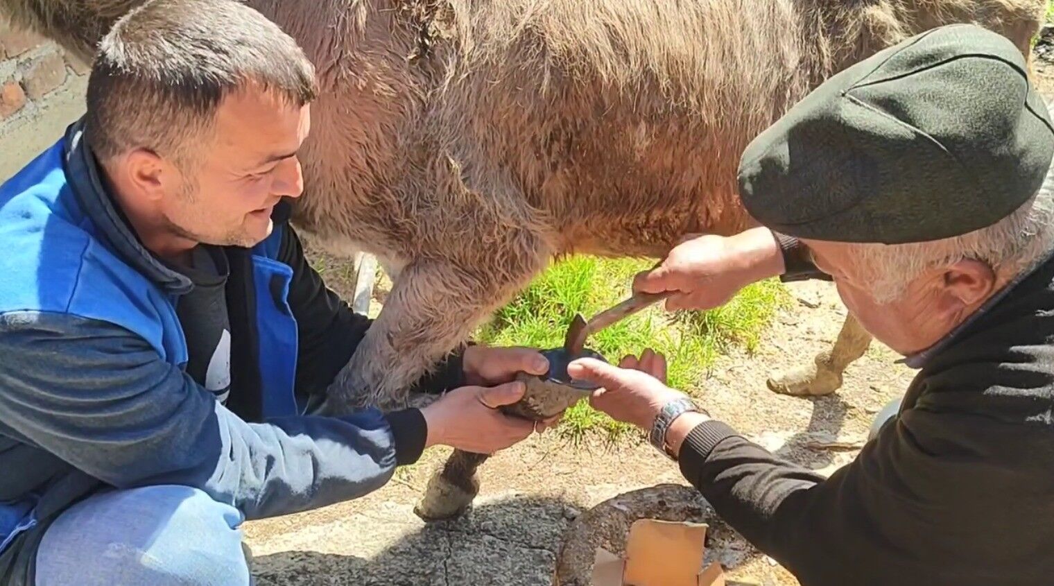 Cide’nin Köyünde 55 Yıldır Ata Mesleğini Sürdürüyor (3)