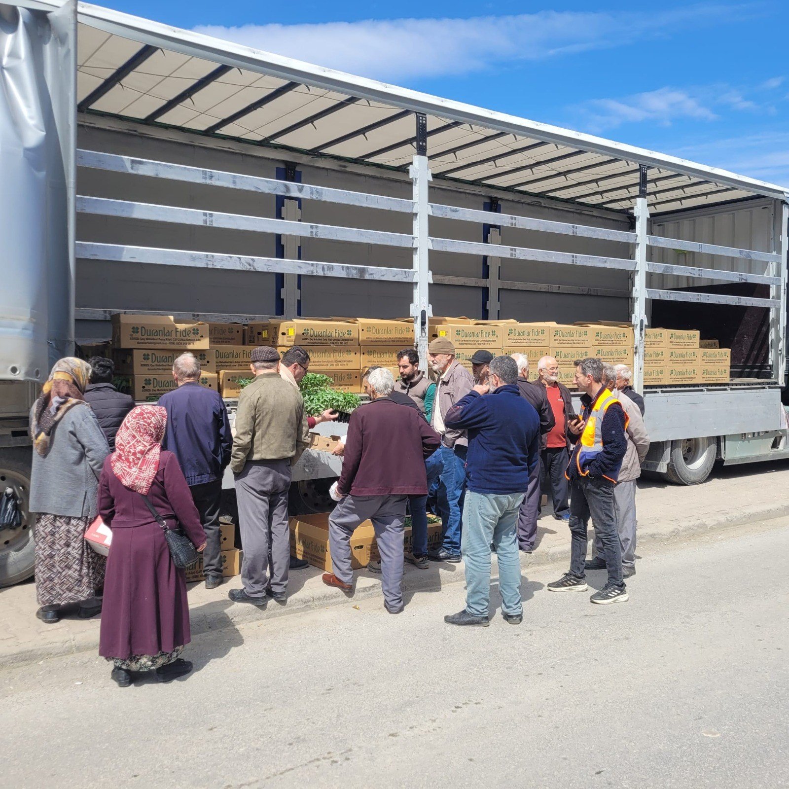 Çiftçilere 147 Bin Adet Sebze Fidesi Dağıtıldı (2)
