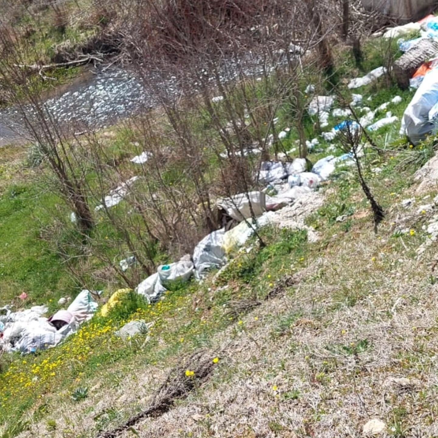 Dere Yatağı Çöplerle Dolup Taştı (1)