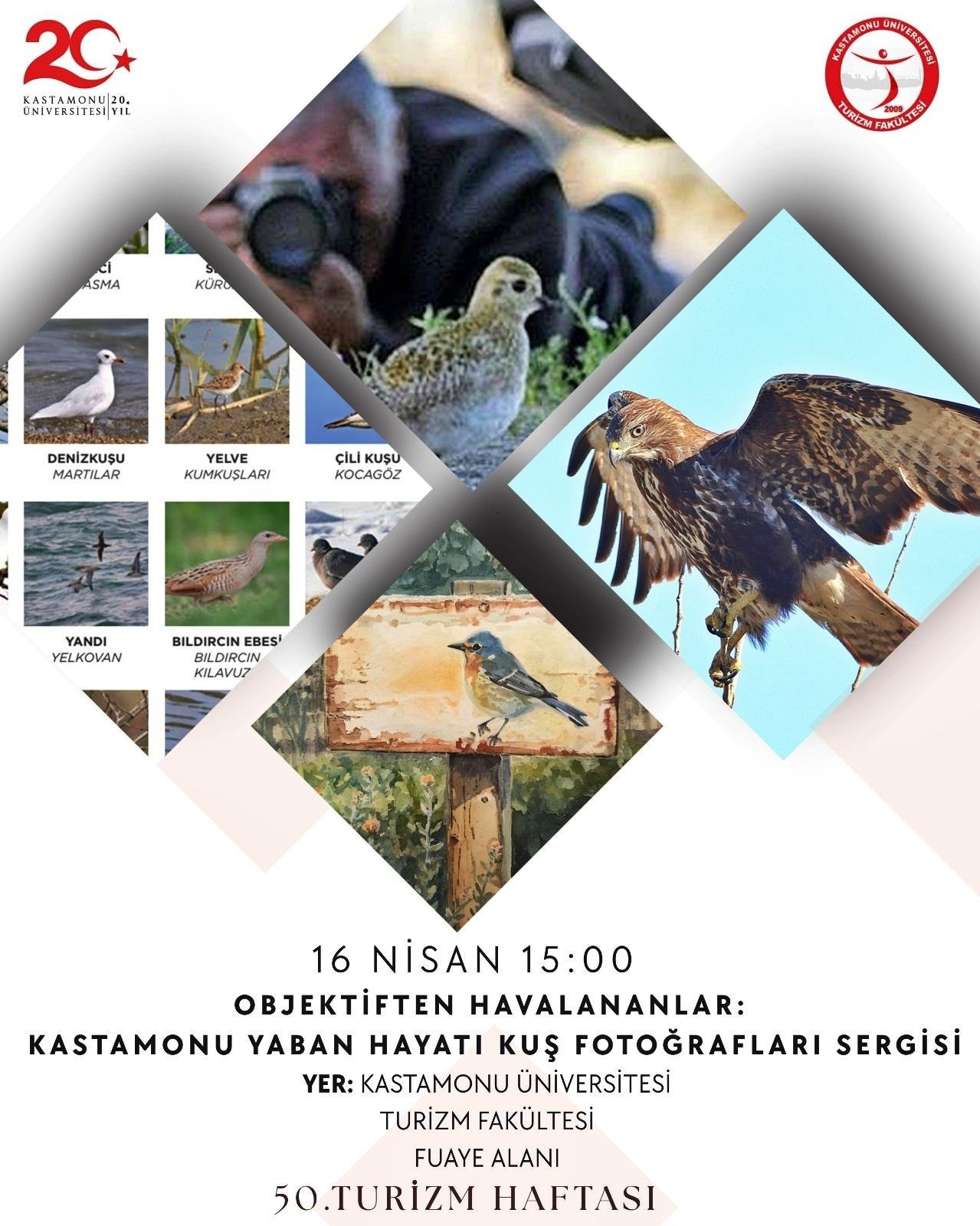 Doga Ve Yaban Tutkunları Kastamonu'da Bulusacak (2)