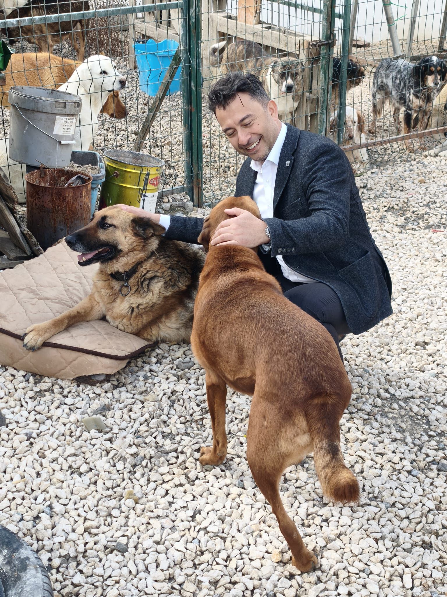 I M G 20260405 W A0000