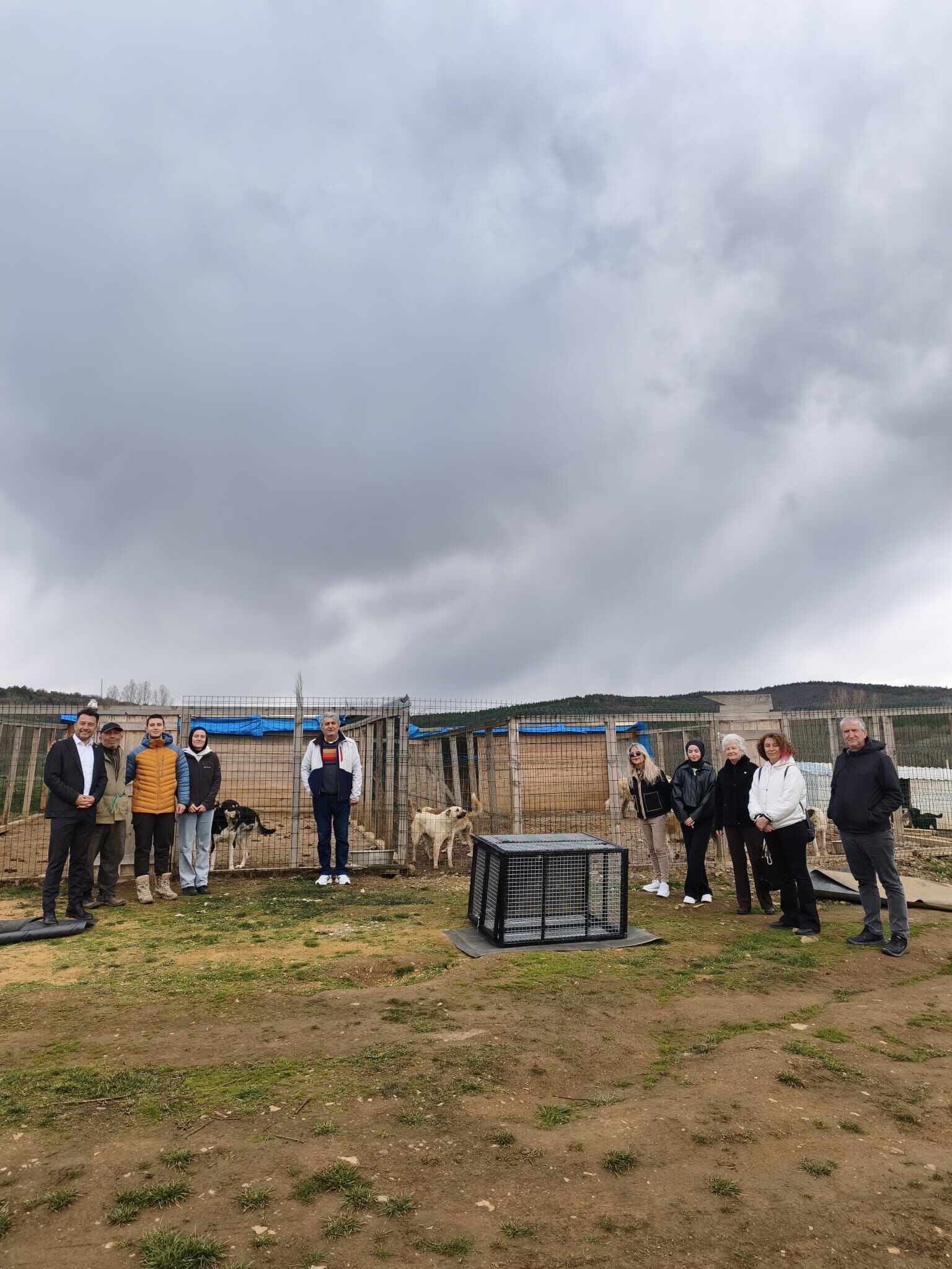 I M G 20260405 W A0001