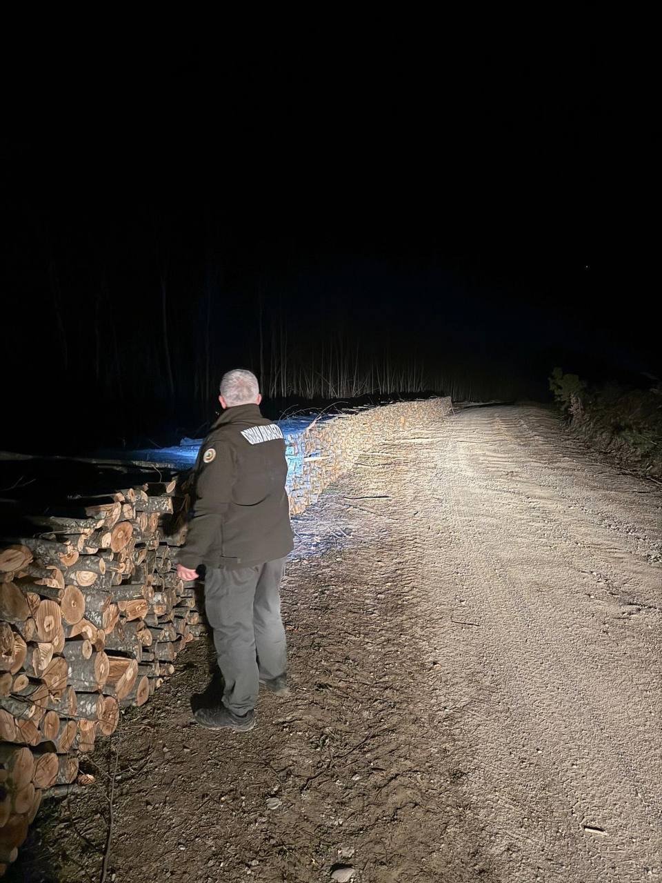 Kastamonu Orman Gece Mesaisi (2)