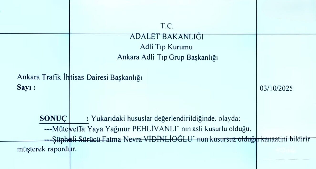 Kastamonu Yagmur Pehlivanlı Dosyası Bilirkisi Raporu Ve Karar (5)