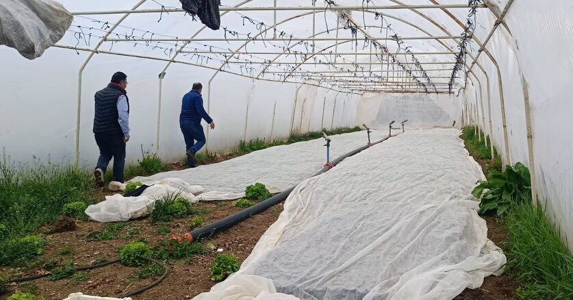 Kastamonu'da Uretim Alanları Mercek Altına Alındı (3)