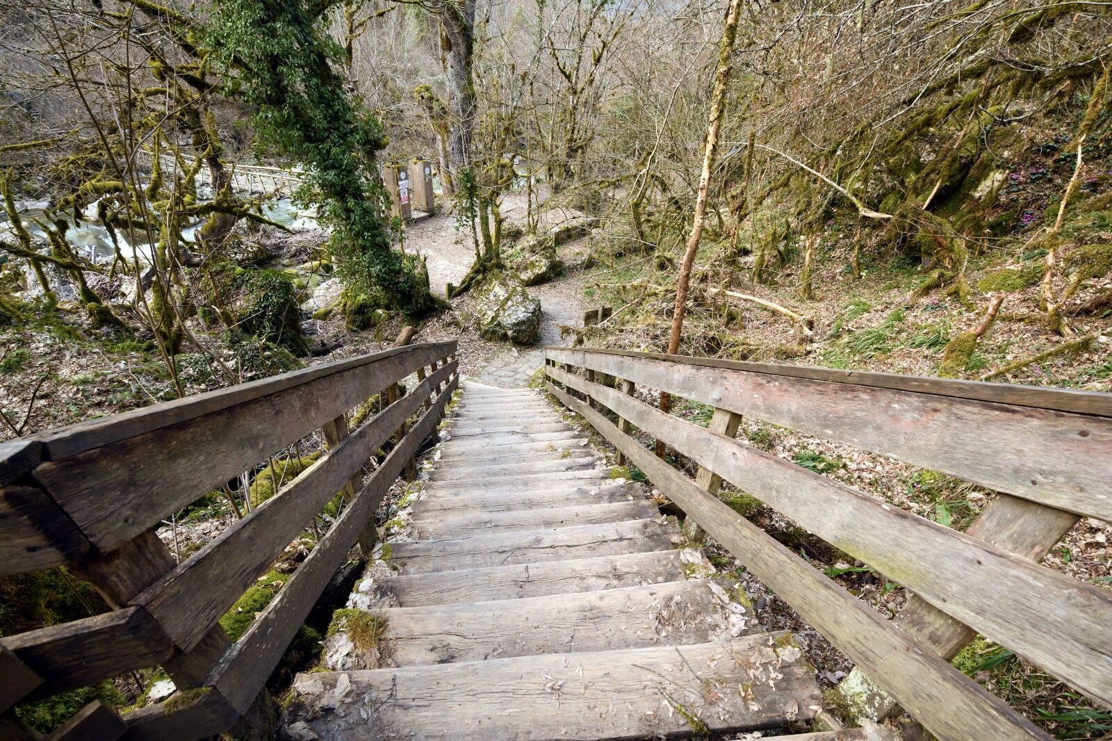 Kastamonu'nun Dunyaya Armaganı Pınarbaşı Cebrail Keles (4)