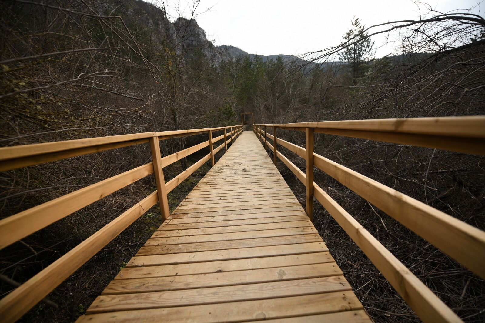 Kastamonu'nun Dunyaya Armaganı Pınarbaşı Cebrail Keles (5)
