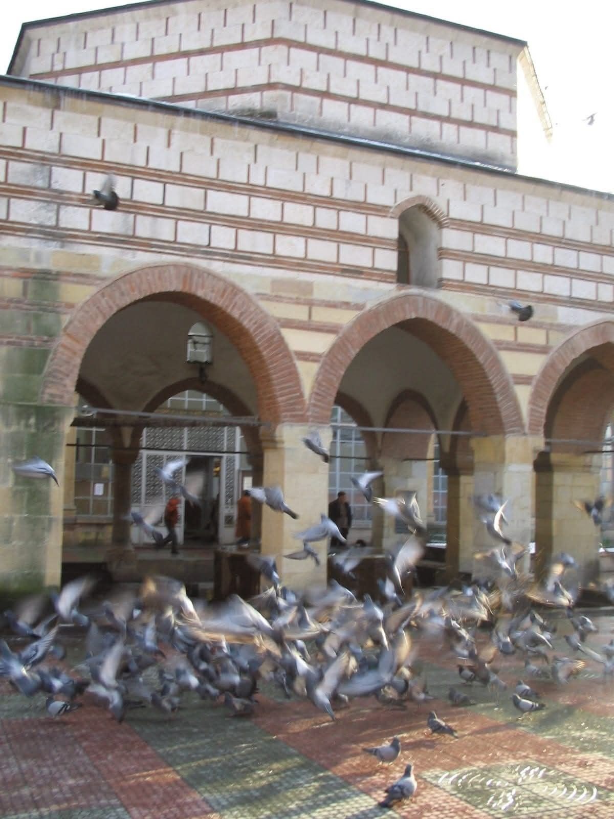 Mine Özgür Köşe Yazısı 7 Nisan (2)