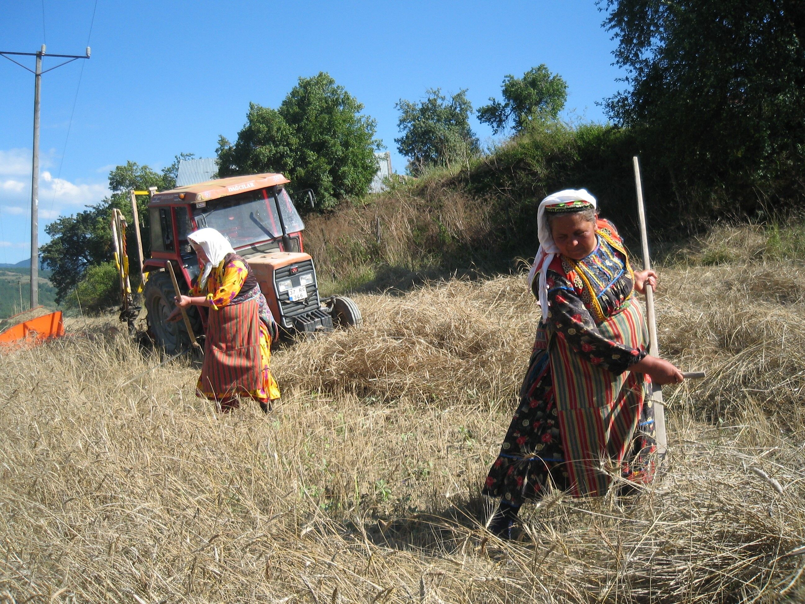 Mine Özgür Köşe Yazısı 7 Nisan (4)