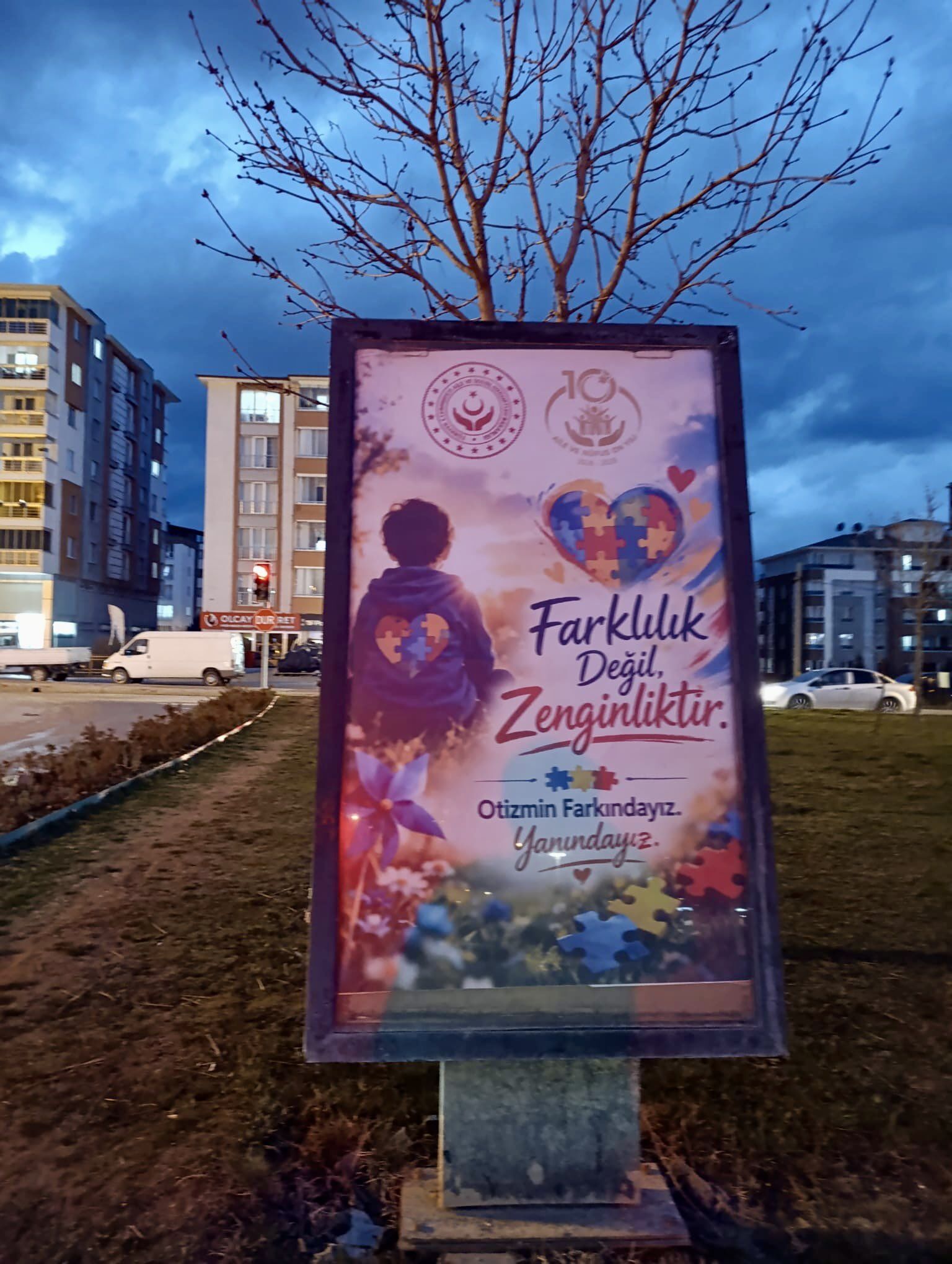 Otimz Farkındalıgı Kastamonu (3)