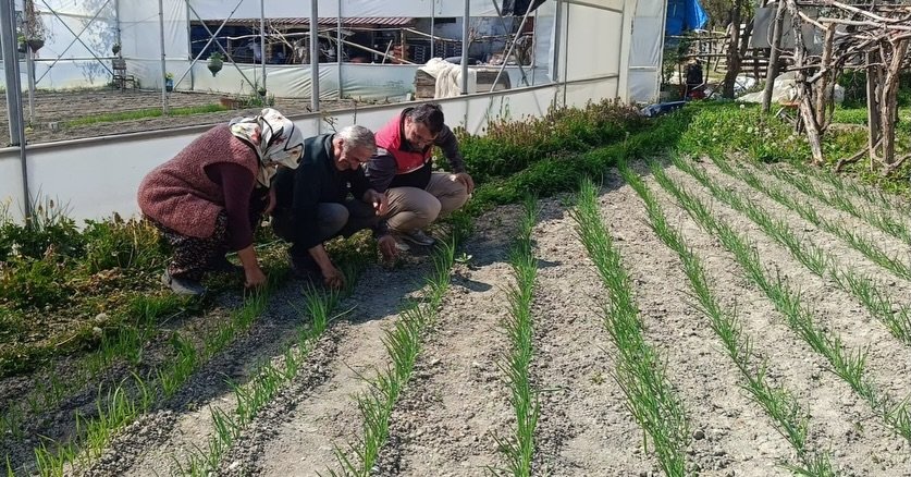 Sera Ve Bahceler Mercek Altında (2)