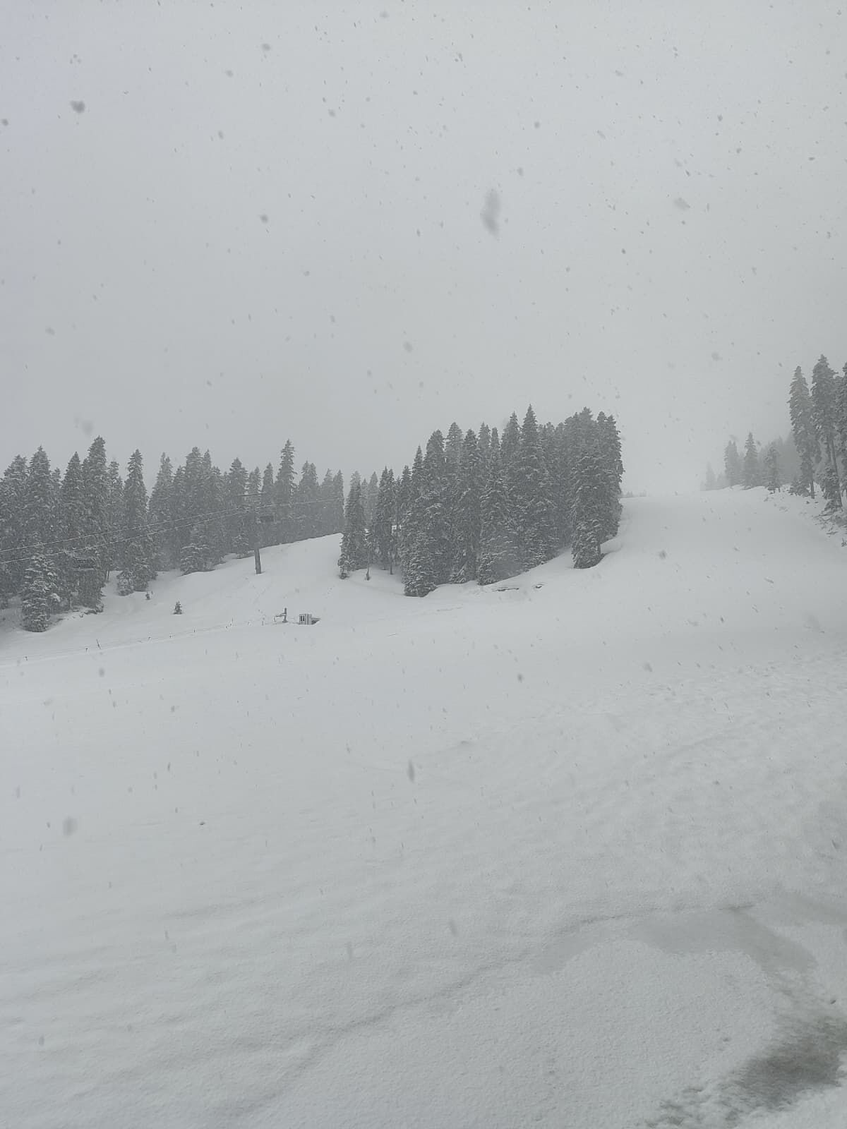 Yurduntepe Ilgaz Nisan Yagisi